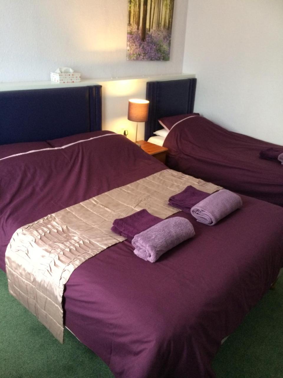 The Haldon Guest House Paignton Zewnętrze zdjęcie